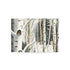 Winter Aspen Trunks - Fine Art Greeting Cards